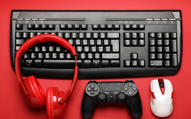 <h3>Computer Accessories</h3>