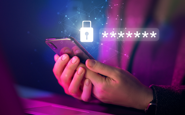 <h3>Home Security</h3>