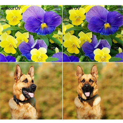 Xiaomi Xiaoyi Yi Ii 4K Action Camera With 37Mm Uv Filter And Lens Cap