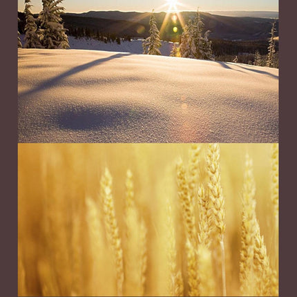 Xiaomi Xiaoyi Yi Ii 4K Action Camera With Professional Slim Hd Mcuv Lens Filter