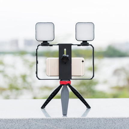 Vlogging Live Broadcast Led Selfie Light Video Rig With Smartphone Handle And Tripod