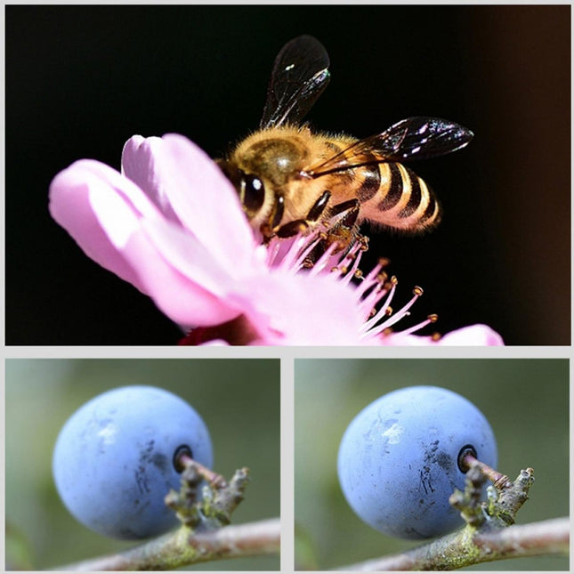 52Mm 10-In-1 Professional Lens Filter Kit For Gopro Hero10 / 9 With Adapter Ring And Cap