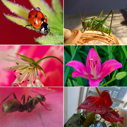 58Mm Macro Lens With Adapter Ring For Gopro Hero5 - Professional Quality