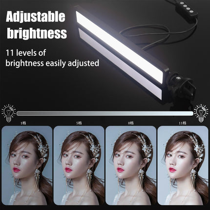 Portable Bi-Colour Led Video Light For Live Streaming And Conferences