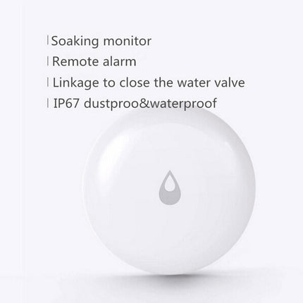 Remote Water Leak Detector For Home Security