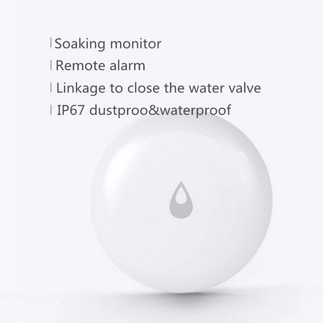 Remote Water Leak Detector For Home Security