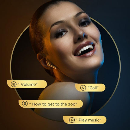 Silver Binaural Tws Bluetooth 5.0 Earphones - T03S Pride Version