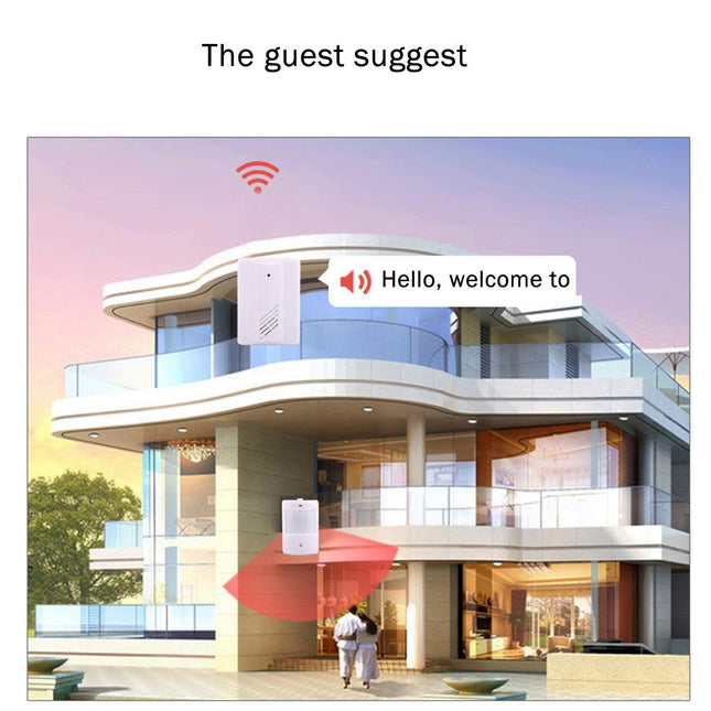 Wireless Electro Guard Watch Remote System Kit - 1 Receiver & 1 Detector