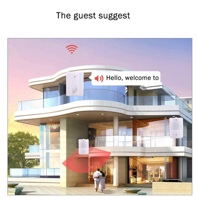 Wireless Electro Guard Watch System Kit - 1 Receiver & 2 Detectors