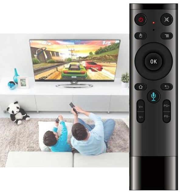 Universal 3D Air Mouse Remote With Voice Control