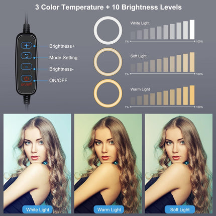 6.2 Dual-Colour Ring Light With Usb 3 Modes Monitor Clip - Black