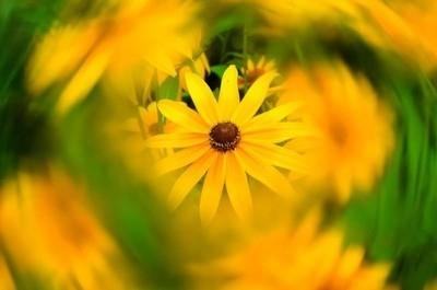 Universal Lens Filter For Dji Phantom 3 And 4 Series