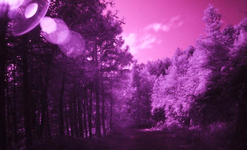 2.1Cm Internal Diameter Uv / Lens Filter For Sjcam Sj4000 And Sj4000 Wifi Sport Cameras