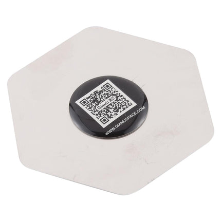 Hexagram Pry Tool With Scales - Qianli