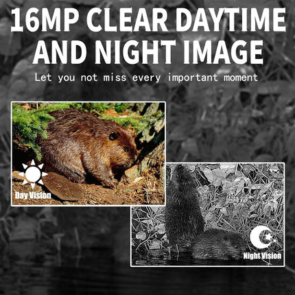 16Mp Outdoor Hunting Camera With Night Vision And Motion Activation