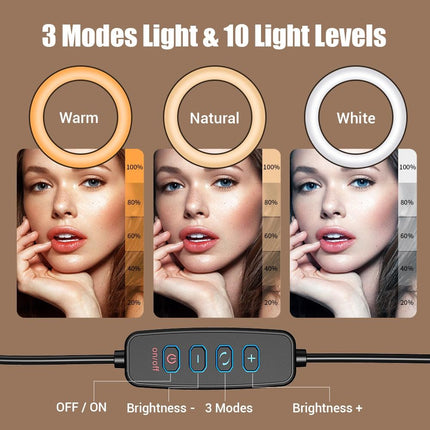 Foldable 10 Led Ring Light With Swing Arm Stand & Phone Holder