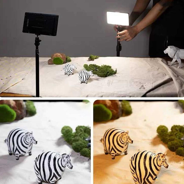 Portable High-Brightness Video Light With Dual Colour Temperature