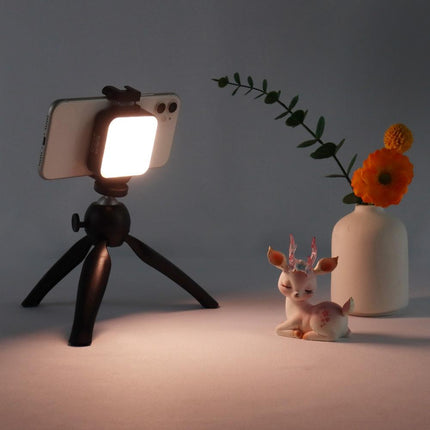 Food Jewelry Pocket Phone Fill Light With Clamp - W66