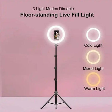 10 Inch Ring Light Set For Live Streaming And Beauty Stand