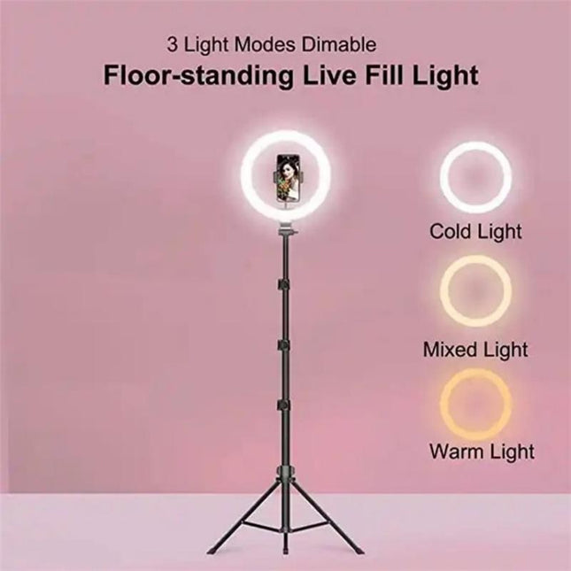 10 Inch Ring Light Set For Live Streaming And Beauty Stand
