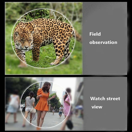 Low Light Visual Binoculars - 10X22 For Enhanced Viewing