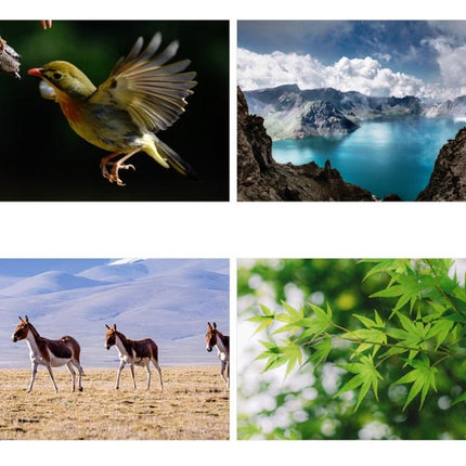 High-Power Small Telescope For Kids - Science Education Toy