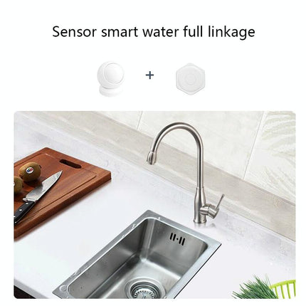 Tuya Smart Human Motion Sensor - Anti-Theft Infrared