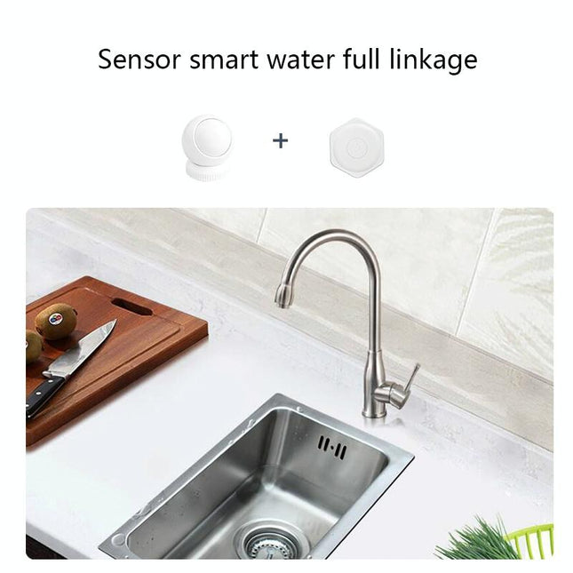 Tuya Smart Human Motion Sensor - Anti-Theft Infrared