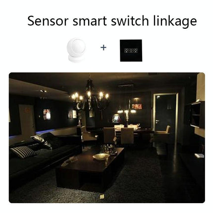 Tuya Smart Human Motion Sensor - Anti-Theft Infrared