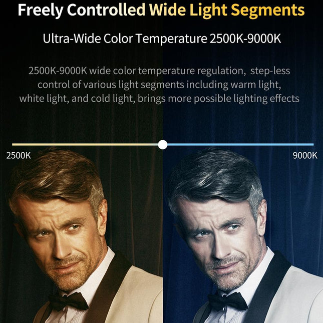 Hand-Held Rgb Fill Light For Portable Photography