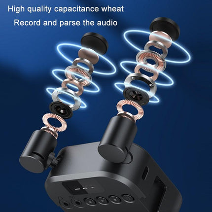 Multi-Angle Stereo Microphone With Lights - Three Temperature Options