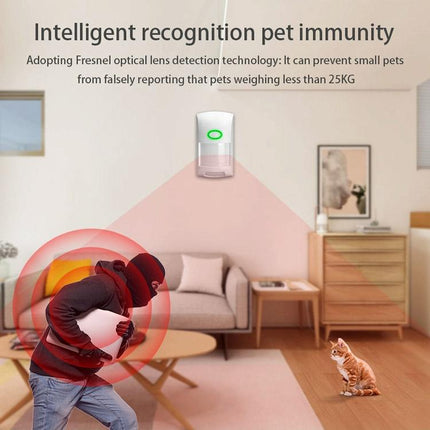 Smart Wifi Infrared Alarm With Human Body Detector