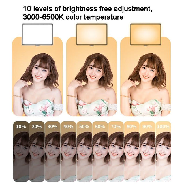 10 Three-Colour Temperature Flat-Panel Live Fill Light - 2.1M Bracket & Clip