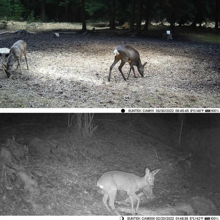 Wireless Bluetooth Control Camera With Infrared Tracking And Wifi Connectivity