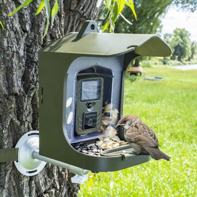 Outdoor Bird Watching Camera With Motion Sensor - Army Green Feeder