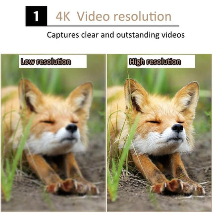 Waterproof Infrared Night Vision Camera For Outdoor Monitoring