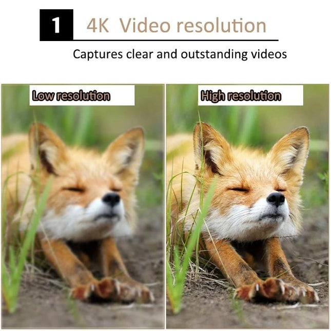 Waterproof Infrared Night Vision Camera For Outdoor Monitoring