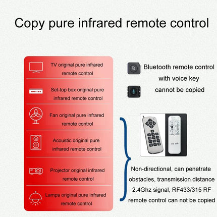 17-Button Multi-Function Remote Control With Twelve Zodiac Animals